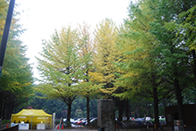 小平アートサイト2013
