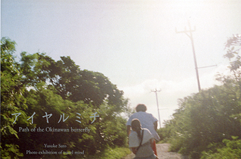 Yusuke Sato アイヤルミチ ～ Path of the Okinawan Butterfly