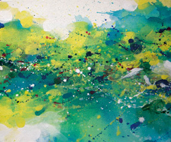 小河泰帆　展『Color to float』