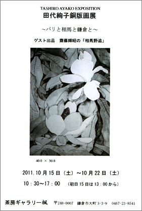 DM画像