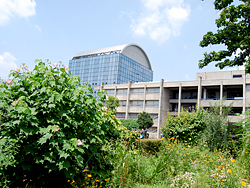 img_20100822_04.jpg