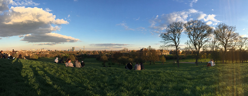 London primrose hill 緑の多い街