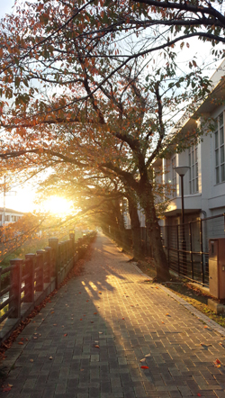30000人の写真展 2015