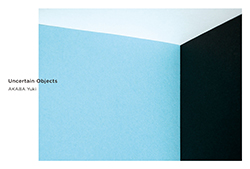Uncertain Objects