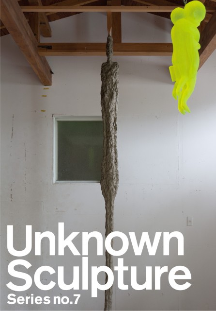 Unknonw Sculpture Series No.7
