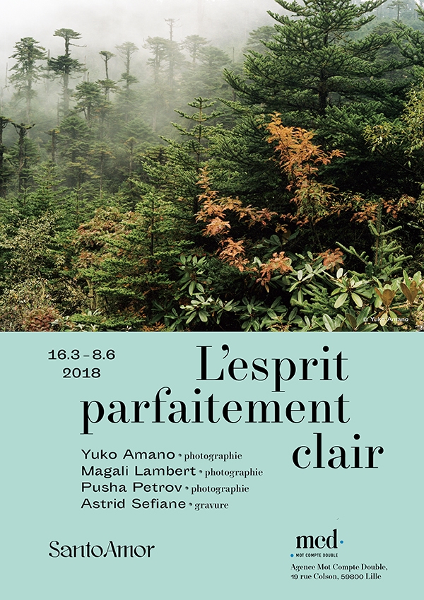 L'esprit parfaitement clair