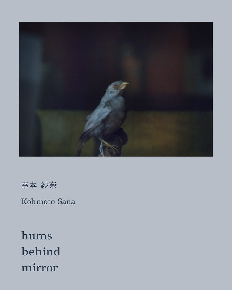 写真展「hums behind mirror」