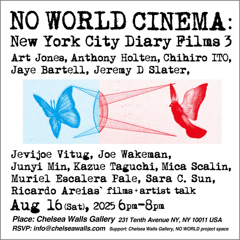 NO WORLD CINEMA: New York City Diary Films 3