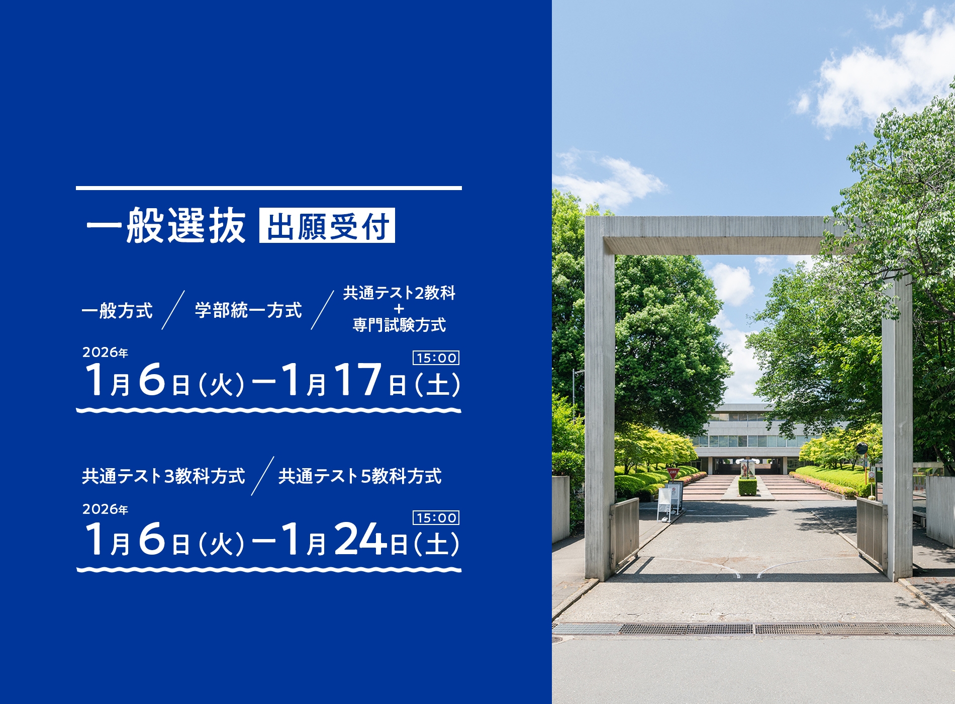 web出願はこちら