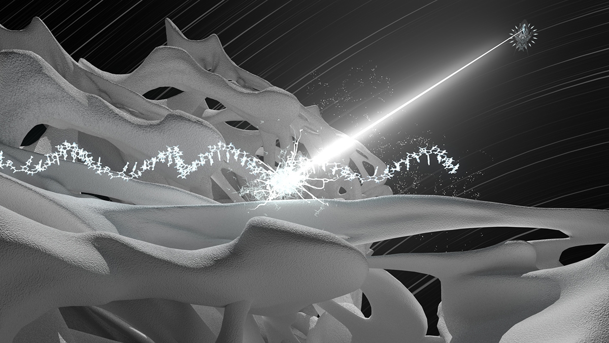 受賞作品:「Transcrisis: Awareness Sparks as Spider Silk」