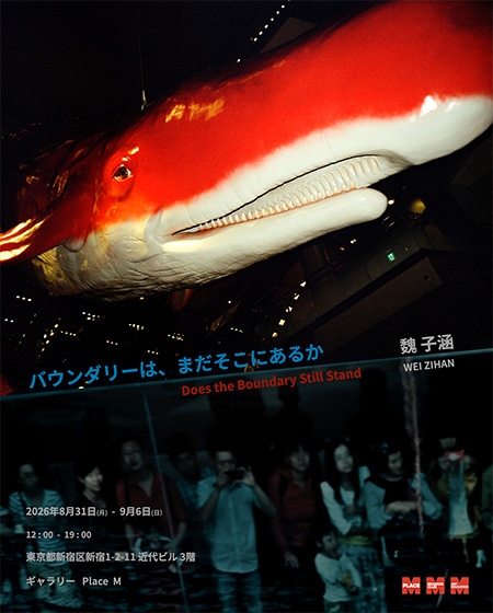 バウンダリーは、まだそこにあるか Does the Boundary Still Stand