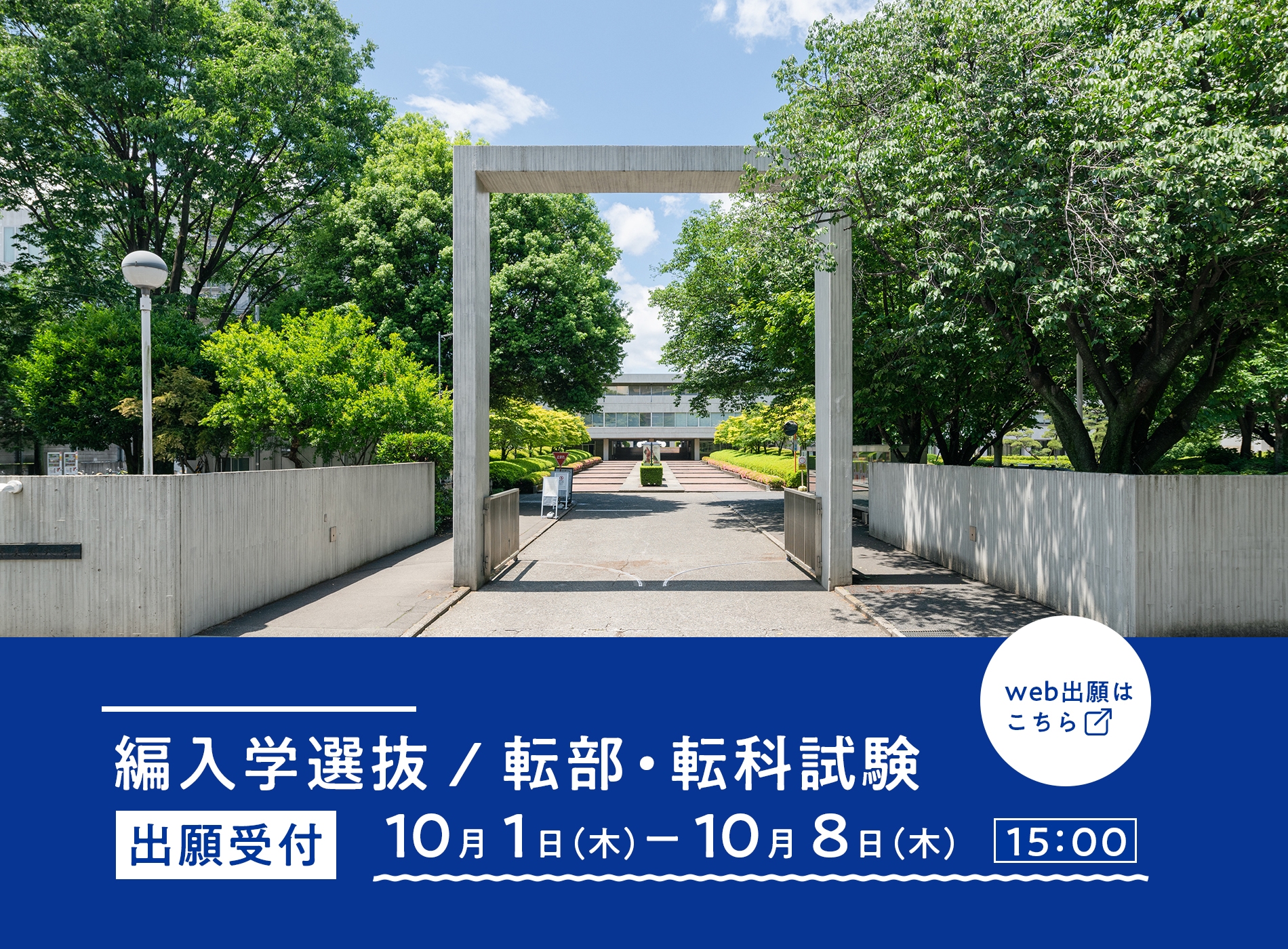 web出願はこちら