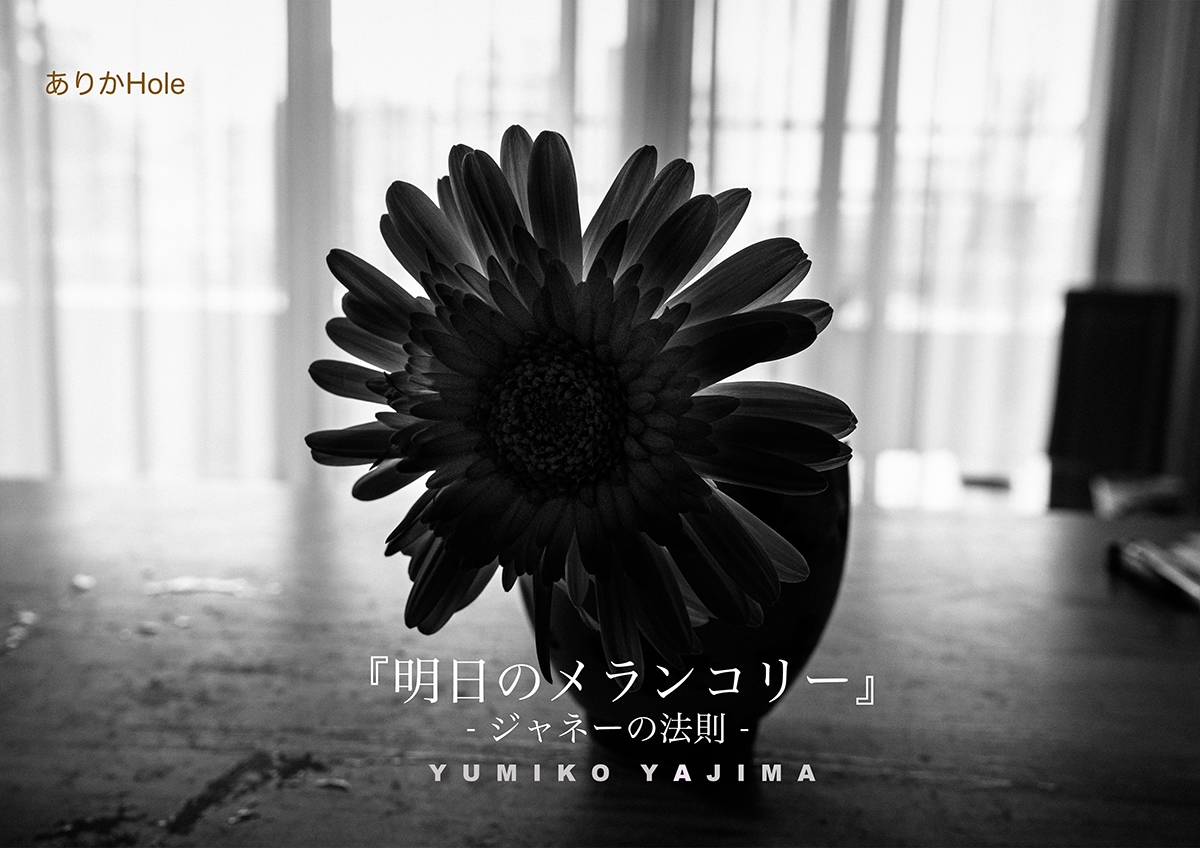 『明日のメランコリー』- ジャネーの法則 - 矢嶋裕美子 写真展